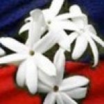 Profile picture of bala